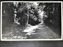 Netherlands, Uncirculated Postcard, "Nature", "Landscapes", "Epe" - Epe