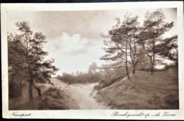 Netherlands, Uncirculated Postcard, "Nature", "Landscapes", "Nunspeet" - Nunspeet