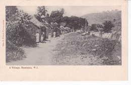 DOMINIQUE - Dominica