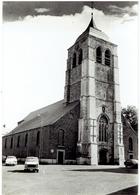 BRAKEL - Belgie - St Pieterskerk - Uitg. Braeckman - Brakel