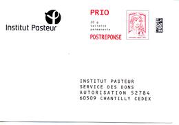 PAP Rep Institut Pasteur (PAP188 N°182029) - PAP: Antwort/Ciappa-Kavena