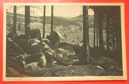 I2-Germany Vintage Postcard-Oberschierke, Ober Schierke - Schierke