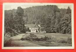 I2-Germany Vintage Postcard-Gasthof Und Sommerfrische Froschmuhle-Muhltal(Thur.) Bei Eisenberg - Eisenberg