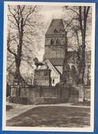 Deutschland; Ratzeburg; Dom; Löwen - Ratzeburg