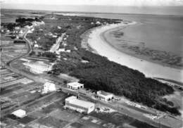 85-LA-TRANCHE-SUR-MER- LA- GRIERE-PLAGE- PARC CLEMENCEAU - La Tranche Sur Mer