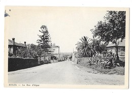 KOLEA (Algérie) La Rue D'Alger - Autres & Non Classés