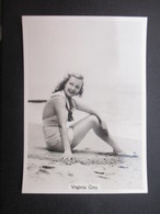 REAL PHOTO - PIN UP (V2004) VIRGINIA GREY (2 Vues) N°22 BEAUTIES OF TO-DAY - Phillips / BDV
