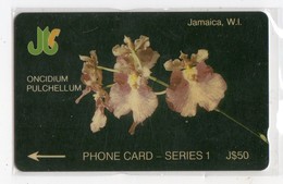 JAMAIQUE  TELECARTE REF MV CARD JAM-6E J$50 CN 6JAME DATE 1991 - Jamaïque