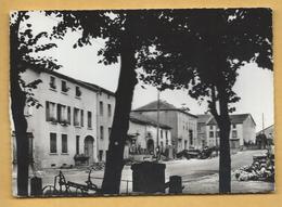 C.P.M. ALBESTROFF - Place De La Halle - Albestroff