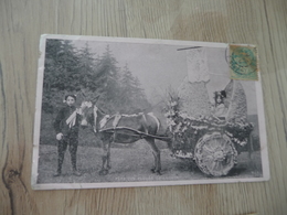 CPA 31 Haute Garonne Luchon Fête Des Fleurs Bel Attelage CPA Rosée Avant 1906 - Luchon