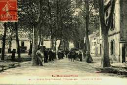 31    Haute Garonne      Revel   Avenue De Soréze - Revel