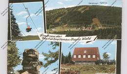 8379 BISCHOFSMAIS - UNTERBREITENAU, Geiskopfhütte - Regen