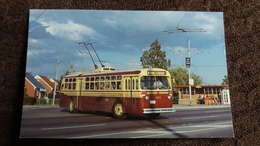 CPSM TROLLEYBUS TTC TC 48 TROLLEY COACH 9131 IS A MARMON HERRINGTON PRODUCT OF 1948 J BC VISUALS WESTON ROUTE - Bus & Autocars