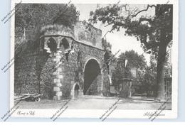 4047 DORMAGEN - ZONS, Schlossruine, 1955 - Dormagen