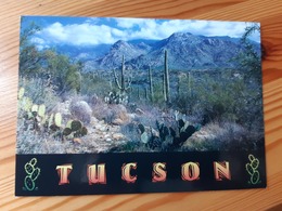 Postcard, USA - Tucson, Arizona, Mint - Tucson