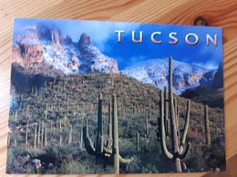 Postcard, USA - Tucson, Arizona, Mint - Tucson