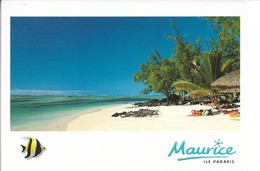 MAURICE            PLAGE DE ILE AUX CERFS - Maurice