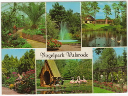 Vogelpark Walsrode -  U.a. Flamingo's - Walsrode