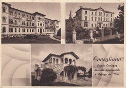 CONEGLIANO-TREVISO-3 IMMAGINI-CARTOLINA VIAGGIATA Il 15/8/1956 - Treviso