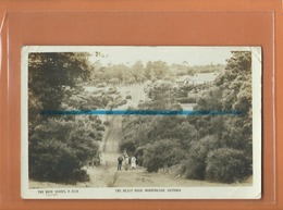 Carte Postale - The Beach Road , MORNINGTON , VICTORIA - The Rose Series P 2118 - Mornington Peninsula