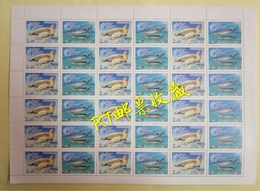 Russia 2003 Sheet Joint Issue Caspian Sea Marine Life Fauna Beluga Fish Seal Dog Animals Nature Stamps MNH Mi 1118-1119 - Fogli Completi