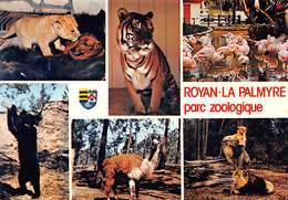 Delcampe - PIE-20-244 : ZOO DE LA PALMYRE - Les Mathes