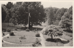 Photographie - Jardin Parc Avec Drapeau Français - Scoutisme ? - Lieu à Situer - Fotografie