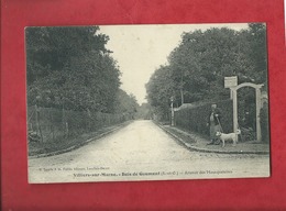 CPA  - Villiers Sur Marne - Bois De Gaumont -(S.-et-O.) - Avenue Des Mousquetaire - Villiers Sur Marne