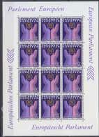 LUXEMBOURG      1984        N °  1047   Parlament Européen   Feuillet 12 Timbres        COTE   14 € 40 - Full Sheets
