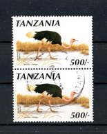 TANZANIA  :   Struzzi  "Struthio  Camelus  Molybdophanes"  -  Coppia  USATA -  15.12.1990 - Avestruces