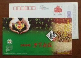Rice,black Rice,red Rice,China 2009 Fujin Organic Food No Chemical Additives Non-GMO Food Advertising Pre-stamped Card - Food