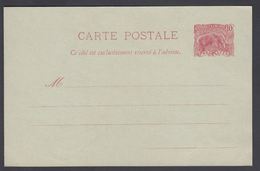1904. GUYANE. CARTE POSTALE.  10 C. Red. Myrmecophaga Tridactyla. () - JF322144 - Cartas & Documentos