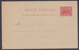 1904. GUYANE. CARTE POSTALE.  10 C. Red. Myrmecophaga Tridactyla. () - JF322146 - Covers & Documents