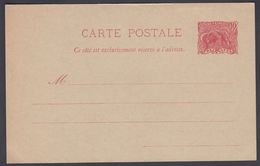 1904. GUYANE. CARTE POSTALE.  10 C. Red. Myrmecophaga Tridactyla. () - JF322146 - Brieven En Documenten