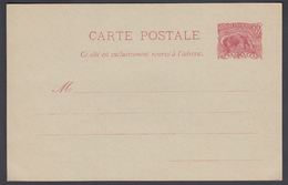 1904. GUYANE. CARTE POSTALE.  10 C. Red. Myrmecophaga Tridactyla. () - JF322147 - Cartas & Documentos