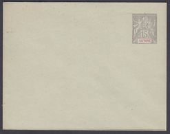 1900. GUYANE. Envelope. 122 X 95 Mm.  15 C.  Gray.  () - JF322207 - Briefe U. Dokumente