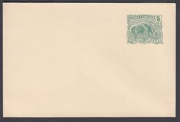 1904. GUYANE. Envelope. 107 X 71 Mm.  5 C.  Green. Myrmecophaga Tridactyla. () - JF322216 - Briefe U. Dokumente