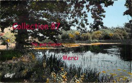 87 ☺♦♦ ORADOUR Sur VAYRES < ETANG De La MONNERIE - N° 33-4 THEOJAC - Oradour Sur Vayres