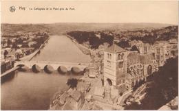 Huy - La Collegiale Et Le Pont Pris Du Fort - Unclassified