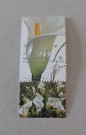N° 1553       Fleur  -  Callas  -  Zantedeschia Authiopica - Usados (con Tab)