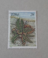 N° 590       Fougères - Used Stamps