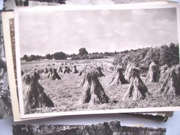 Nederland Holland Pays Bas Lochem Met Prachtig Panorama Bergglooiing - Lochem