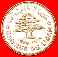 · CEDAR TREE (1968-1980): LEBANON ★ 50 PIASTRES 1969! LOW START ★ NO RESERVE! - Líbano