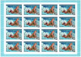 Russia 2008 . Swimming School. Sheet Of 16 Stamps . Michel # 1516 Bg. - Ongebruikt