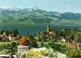 WASSERBURG - Panorama - Wasserburg (Bodensee)