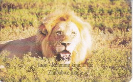 TARJETA DE ZIMBAWE DE UN LEON (LION) - Simbabwe