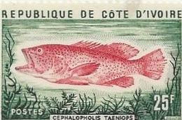 COTE D'IVOIRE - POISSON -N° 366 NEUF SANS CHARNIERE -ANNEE 1977 - COTE :6 € - Côte D'Ivoire (1960-...)