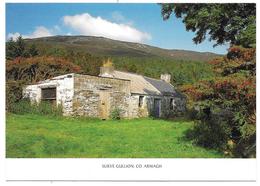 SLIEVE GULLION, CO. ARMAGH -  Northern Ireland - Armagh