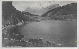Lac Du Klönthal - Am Klöntalersee - Autres & Non Classés