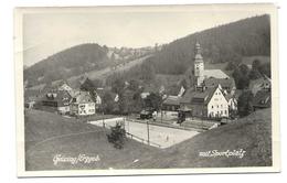 8244  GEISING / ERZ. MIT SPORTPALTZ  1954 - Geising